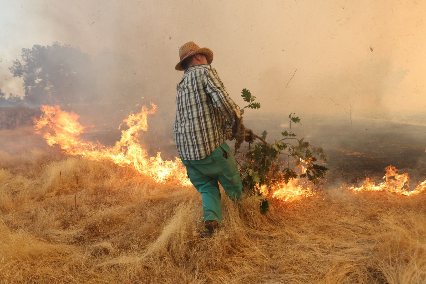 El incendio de Cipérez, en imágenes
