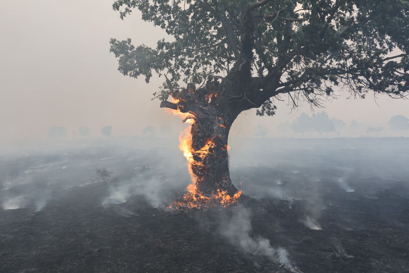 El incendio de Cipérez, en imágenes