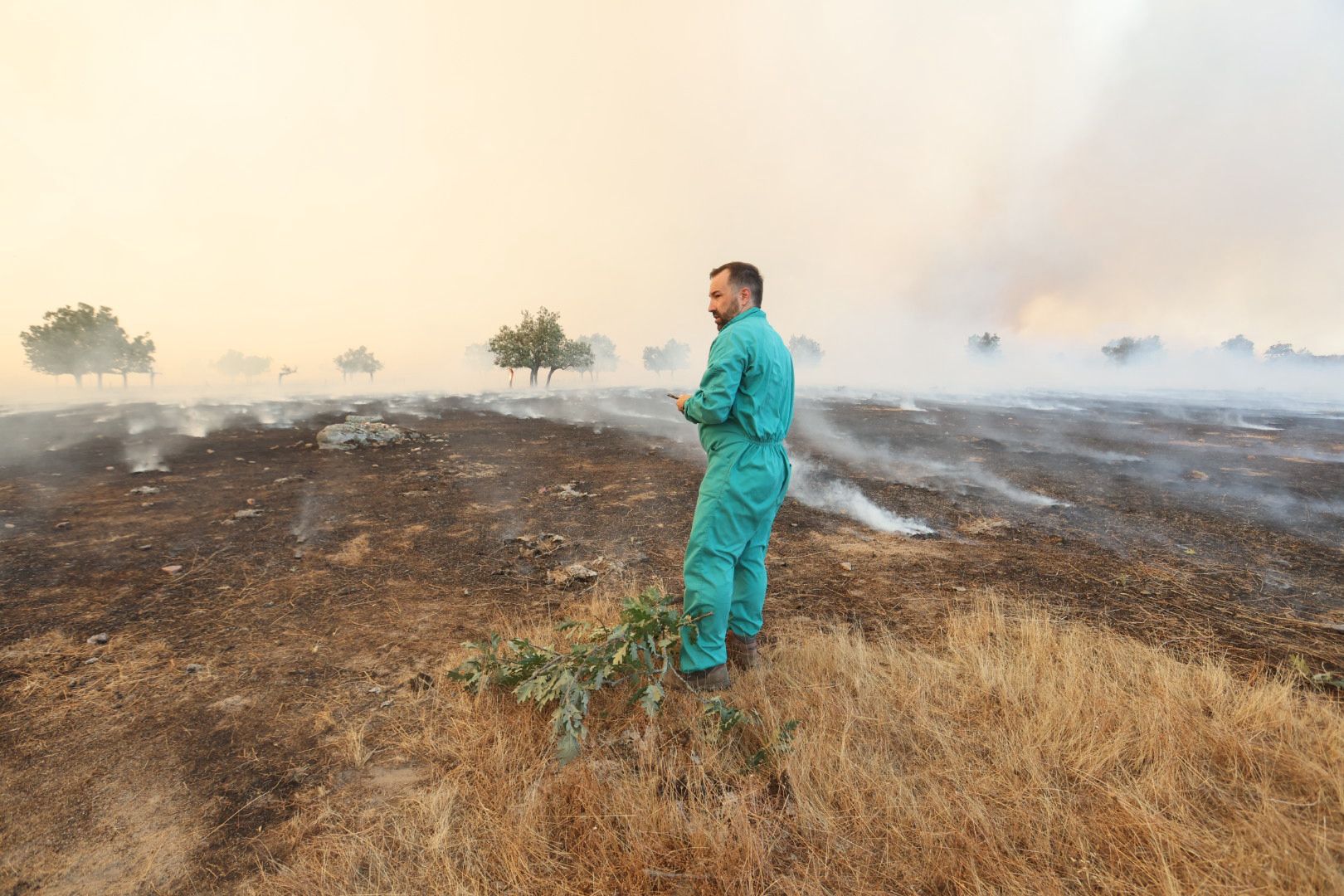 El incendio de Cipérez, en imágenes