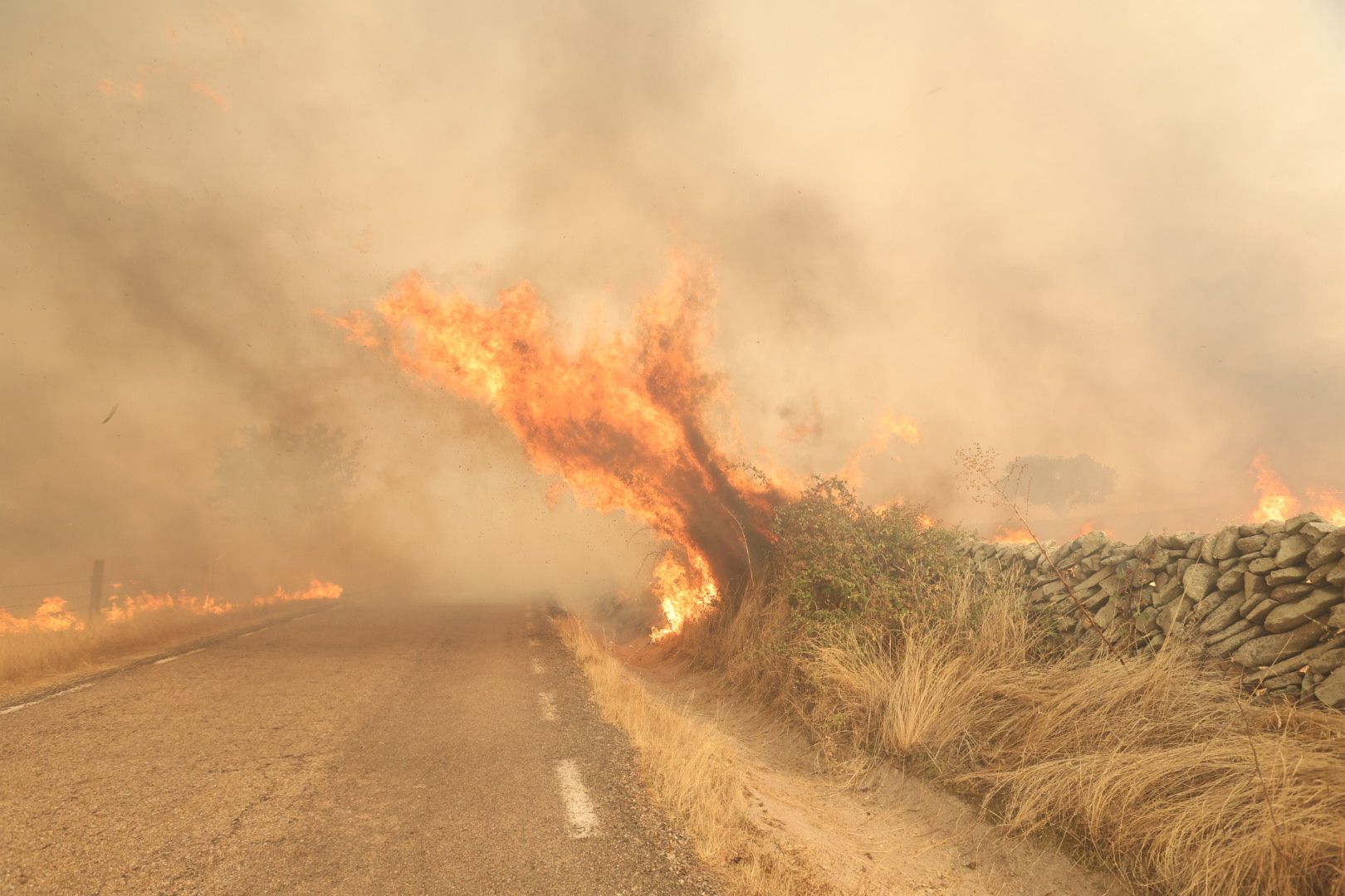 El incendio de Cipérez, en imágenes