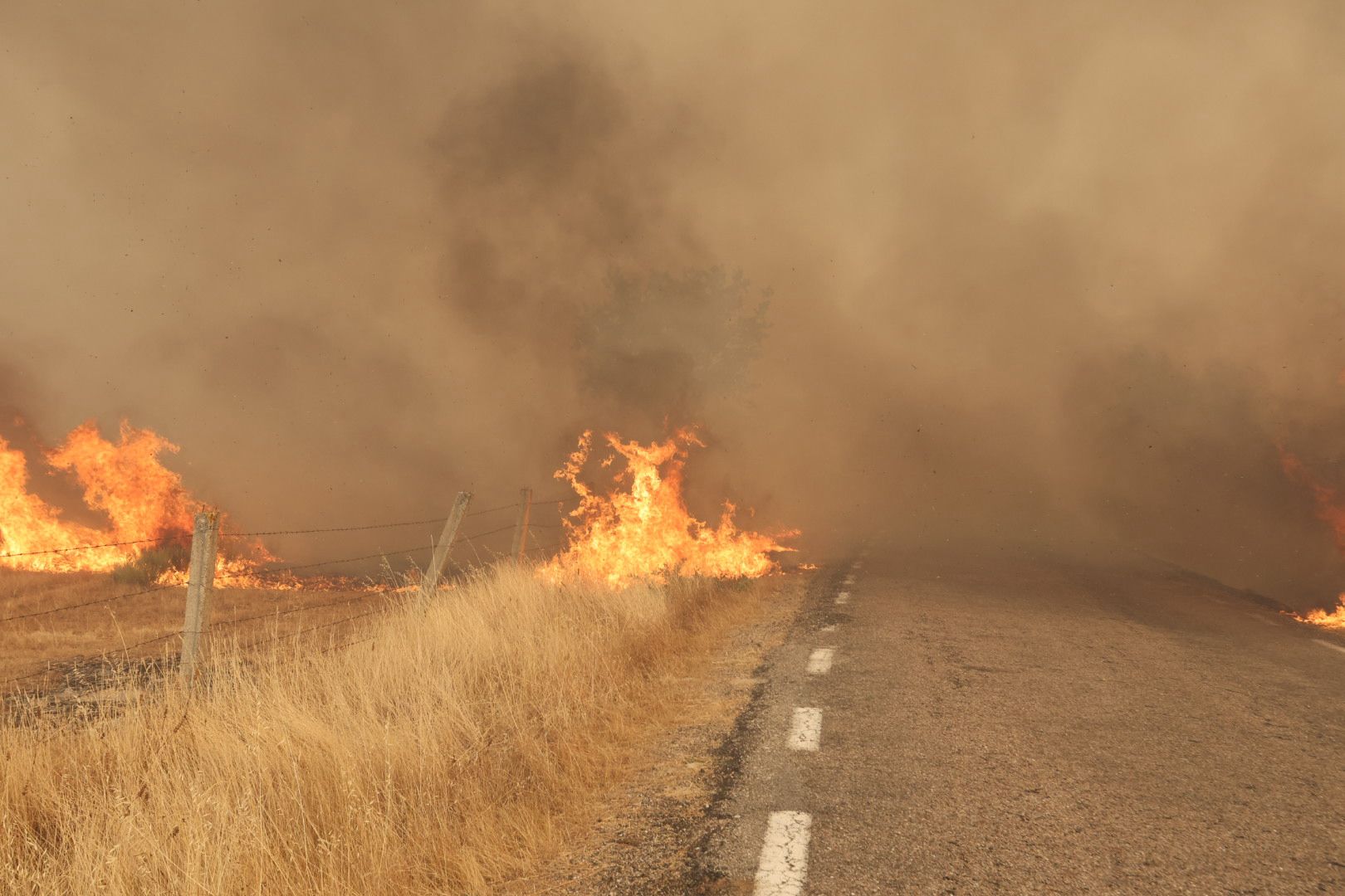El incendio de Cipérez, en imágenes