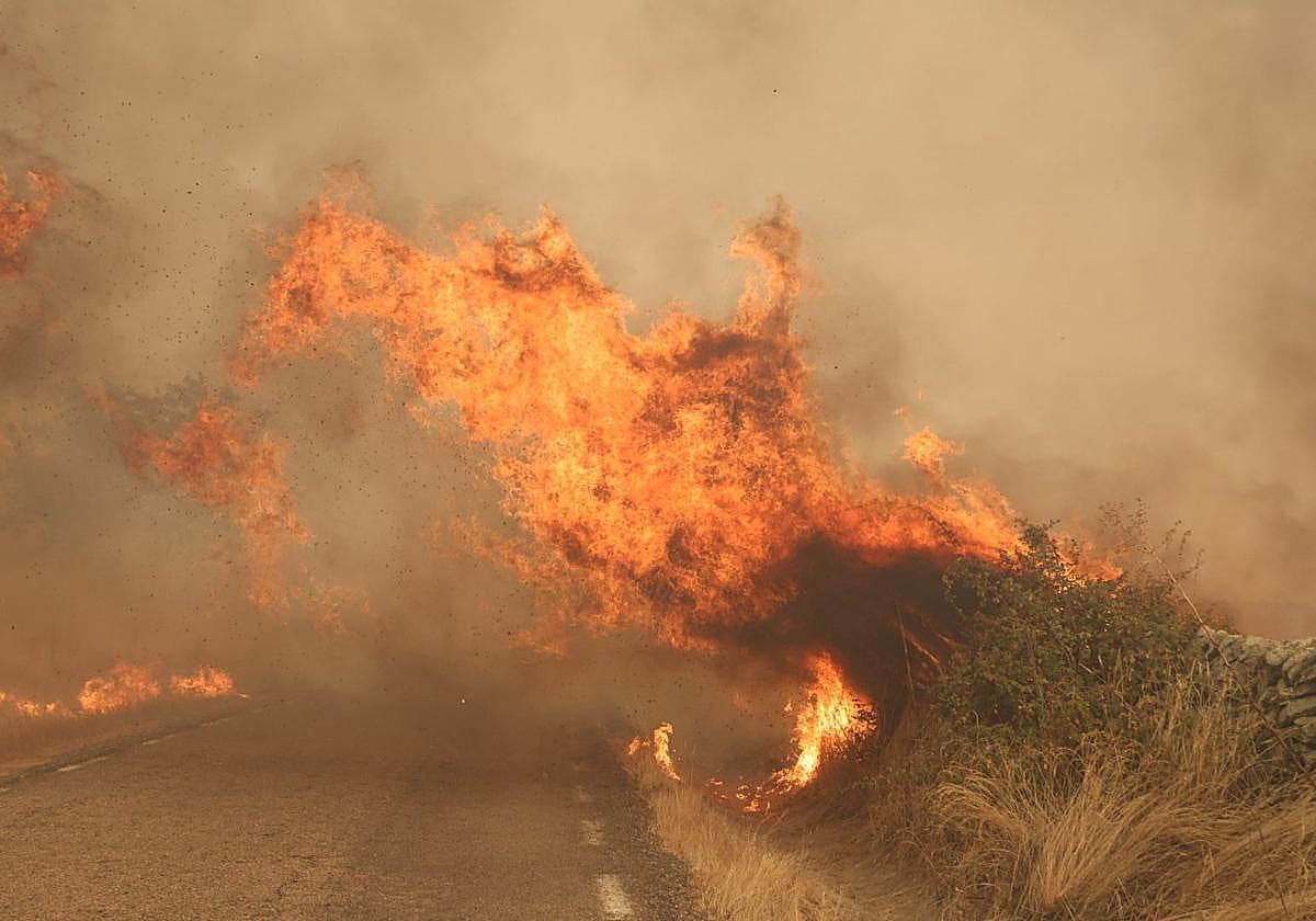 El incendio de Cipérez, en imágenes