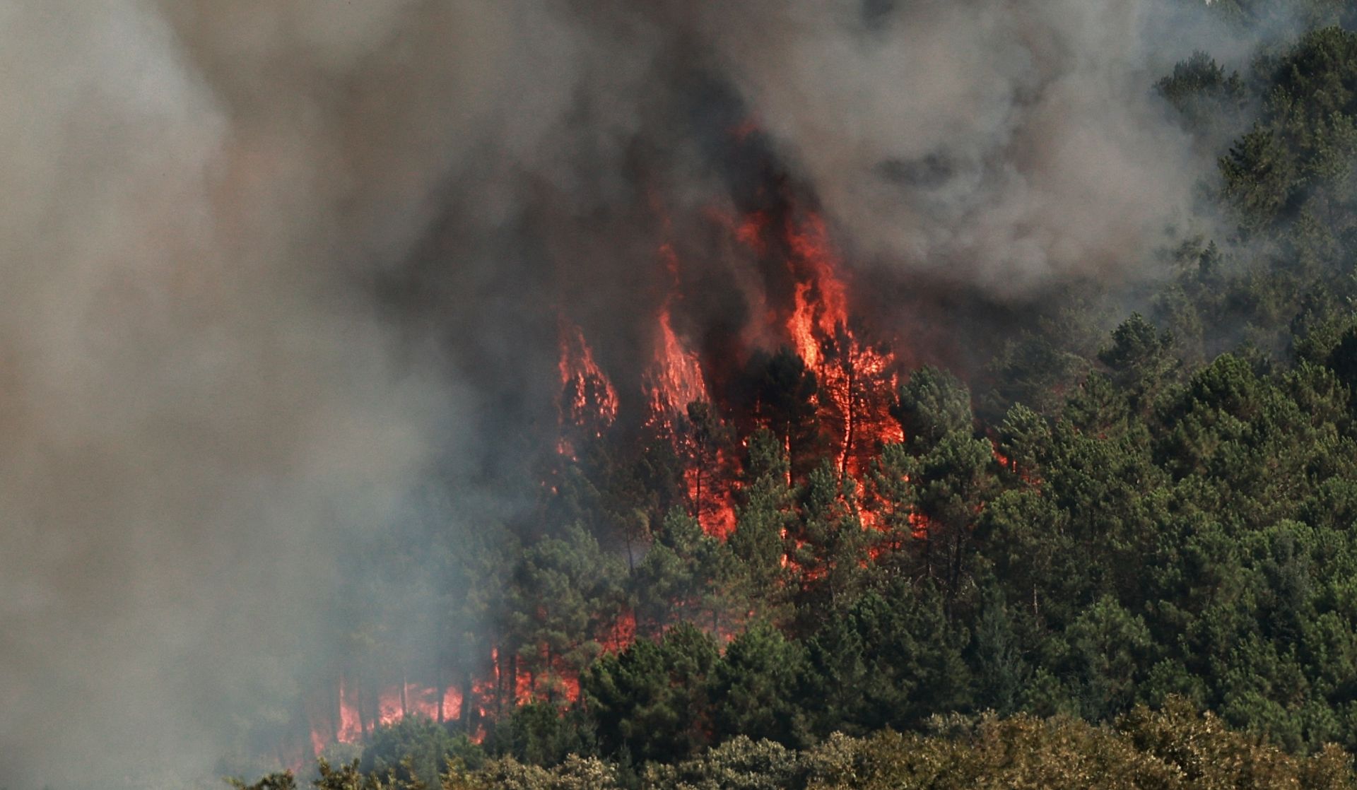 El incendio de El Payo de Salamanca, en imágenes