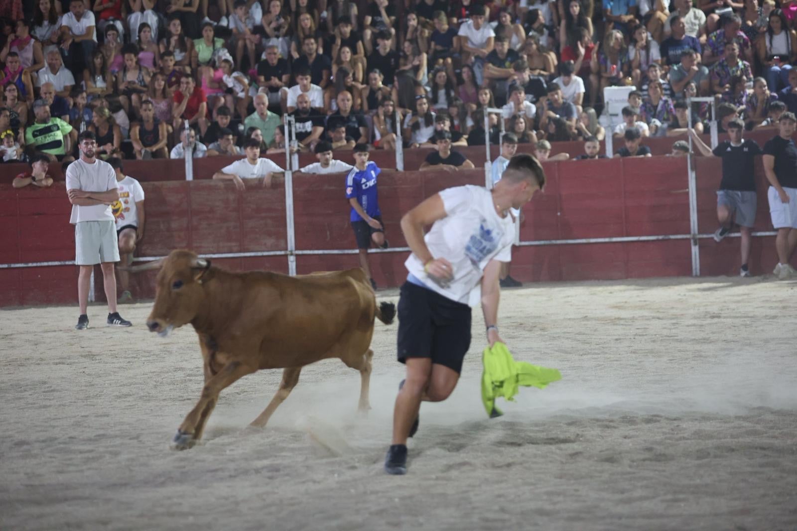 Las vaquillas nocturnas y la orquesta La Misión, protagonistas en las fiestas de Carbajosa de la Sagrada