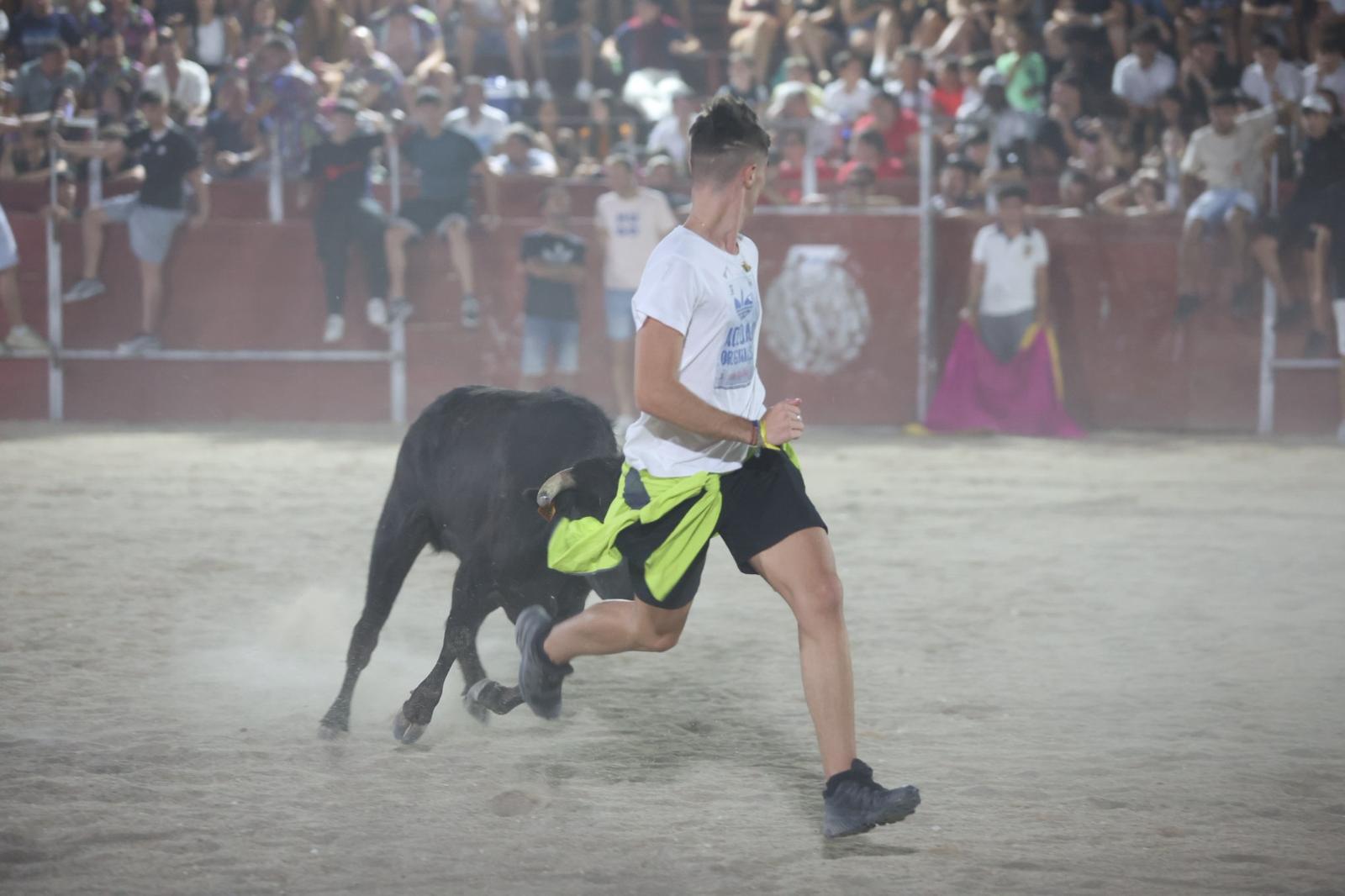 Las vaquillas nocturnas y la orquesta La Misión, protagonistas en las fiestas de Carbajosa de la Sagrada