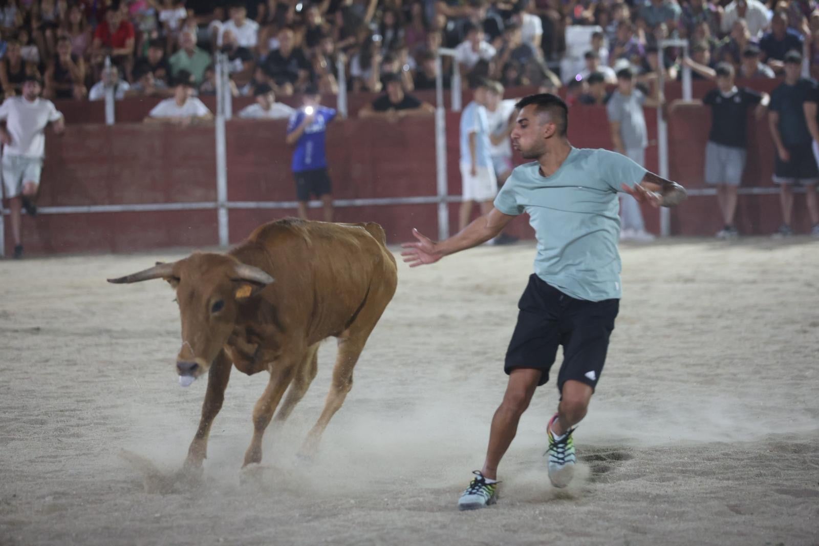 Las vaquillas nocturnas y la orquesta La Misión, protagonistas en las fiestas de Carbajosa de la Sagrada