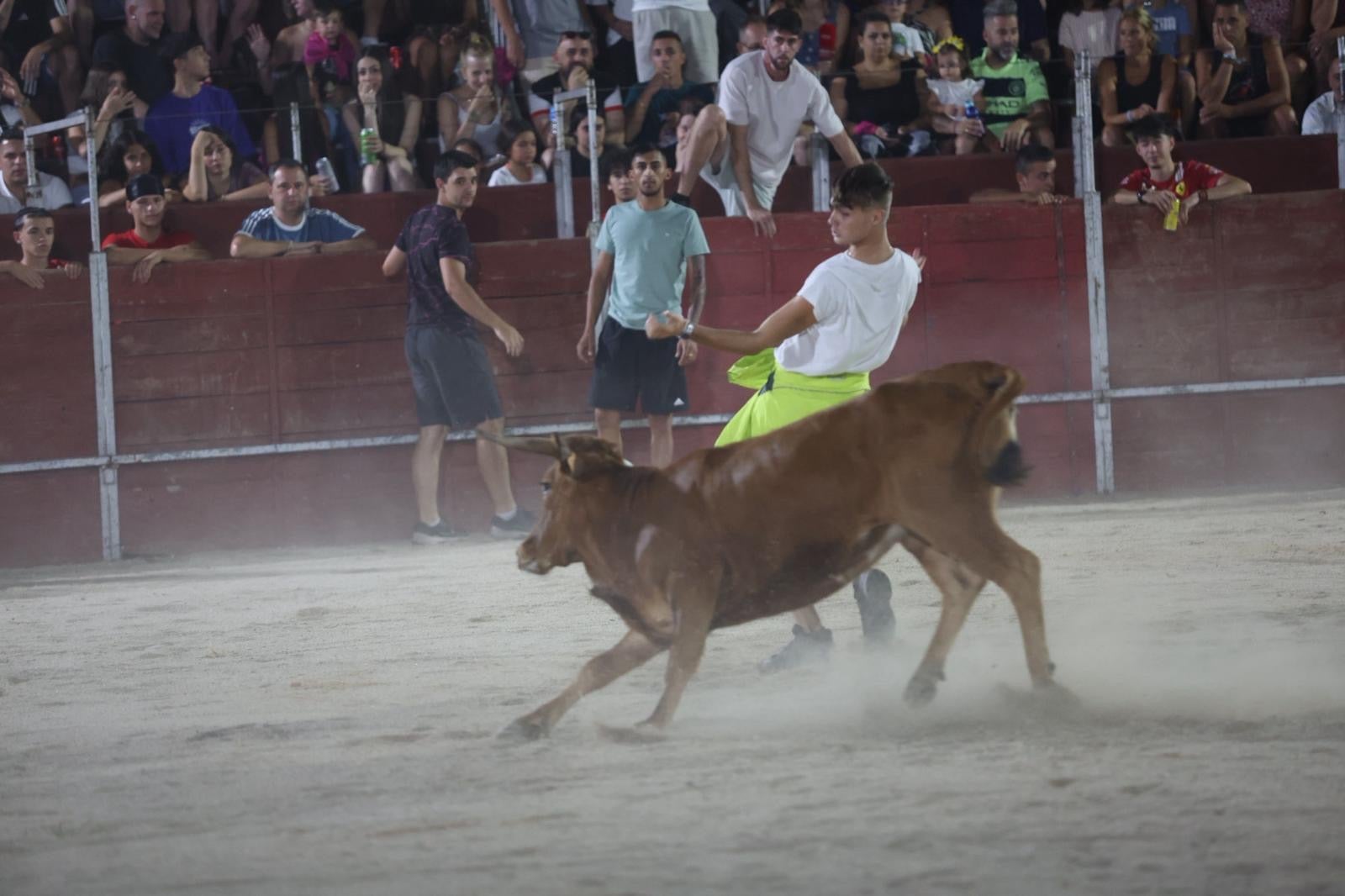 Las vaquillas nocturnas y la orquesta La Misión, protagonistas en las fiestas de Carbajosa de la Sagrada