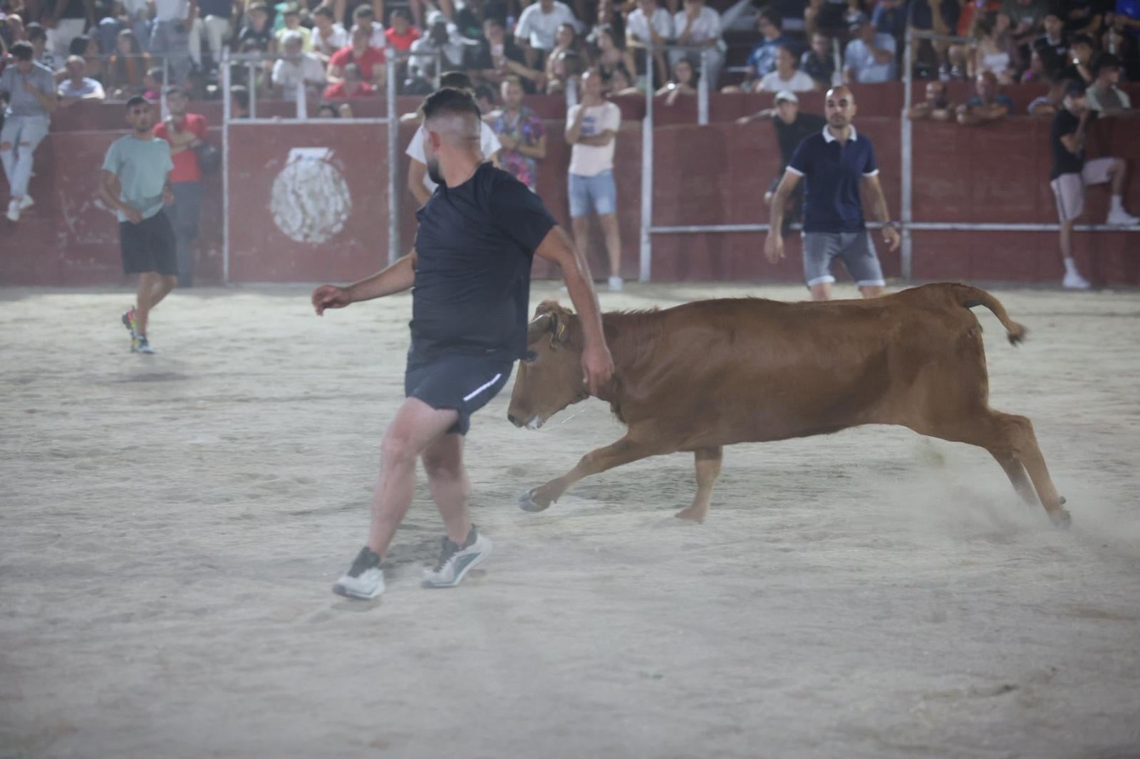 Las vaquillas nocturnas y la orquesta La Misión, protagonistas en las fiestas de Carbajosa de la Sagrada