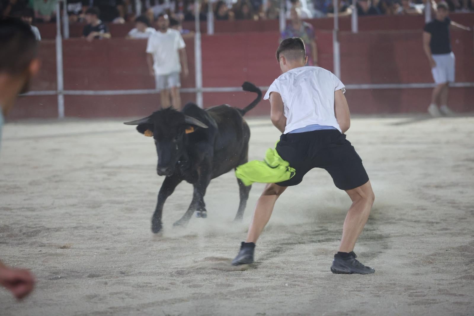 Las vaquillas nocturnas y la orquesta La Misión, protagonistas en las fiestas de Carbajosa de la Sagrada