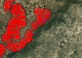 Situación de los incendios de Portugal próximos a Mieza (Salamanca) este domingo desde el satélite Copernicus.