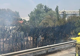 Incendio en la localidad de Pelabravo, en Salamanca