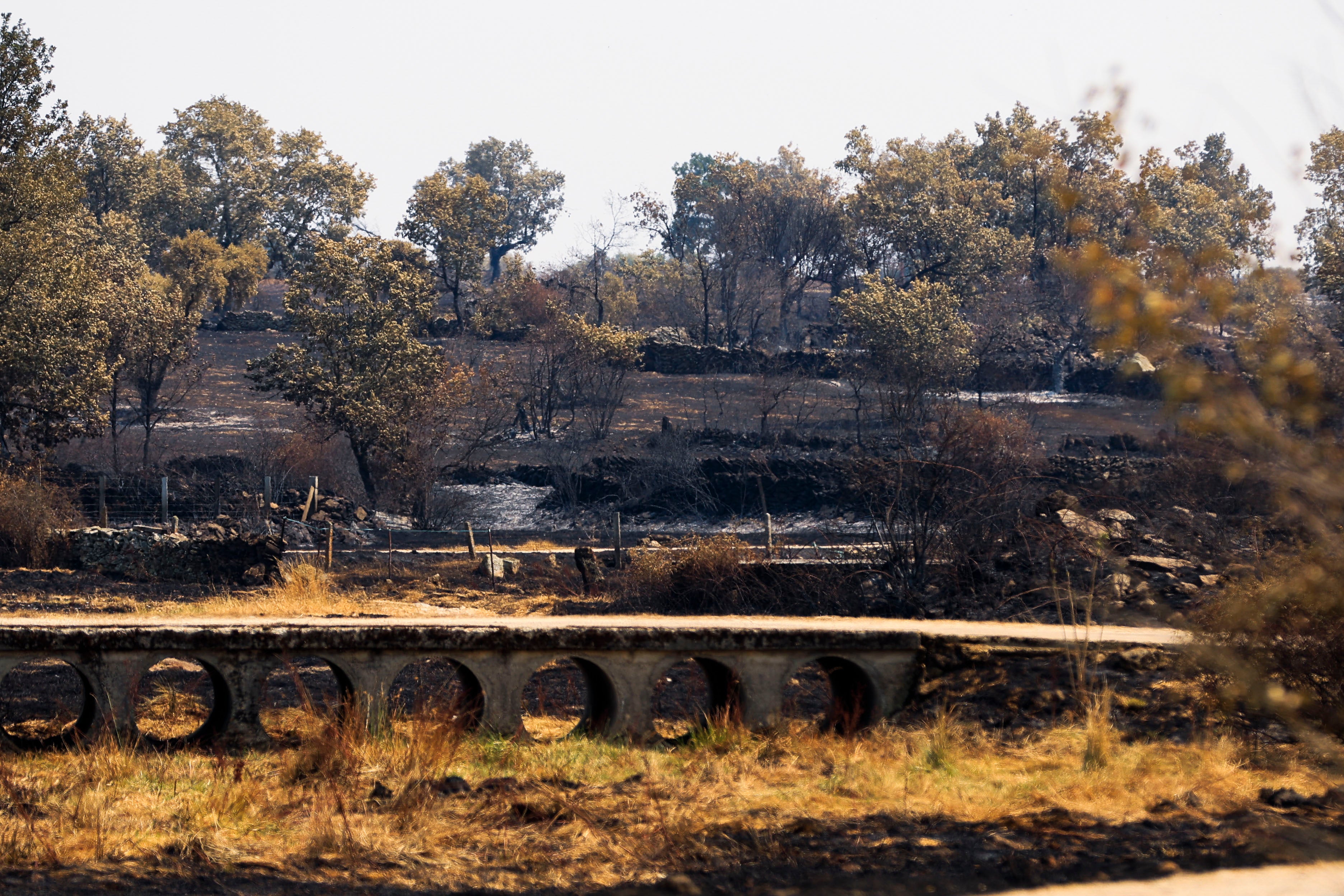 En imágenes, el rastro negro del mayor incendio de la provincia de Salamanca