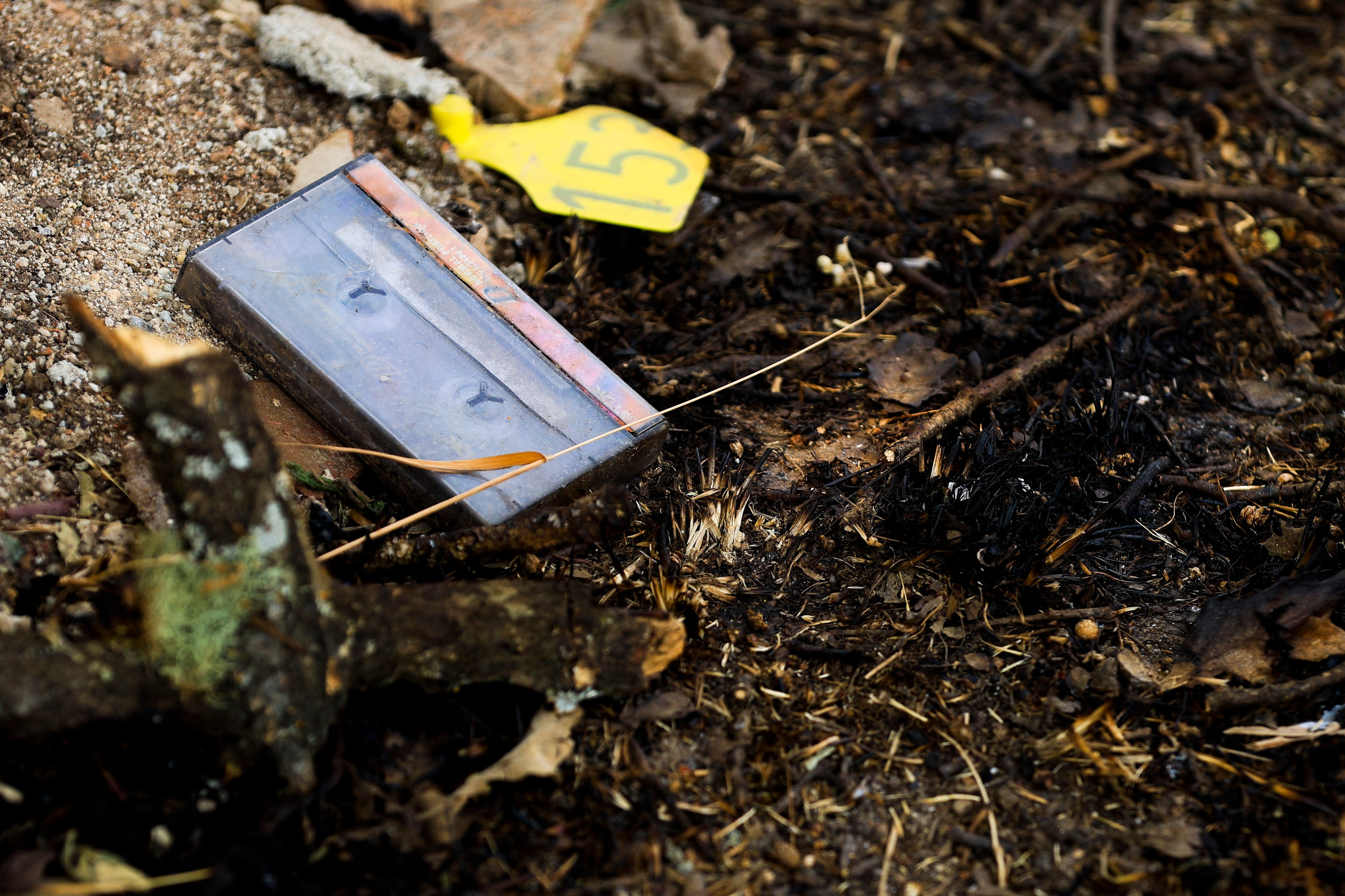 En imágenes, el rastro negro del mayor incendio de la provincia de Salamanca