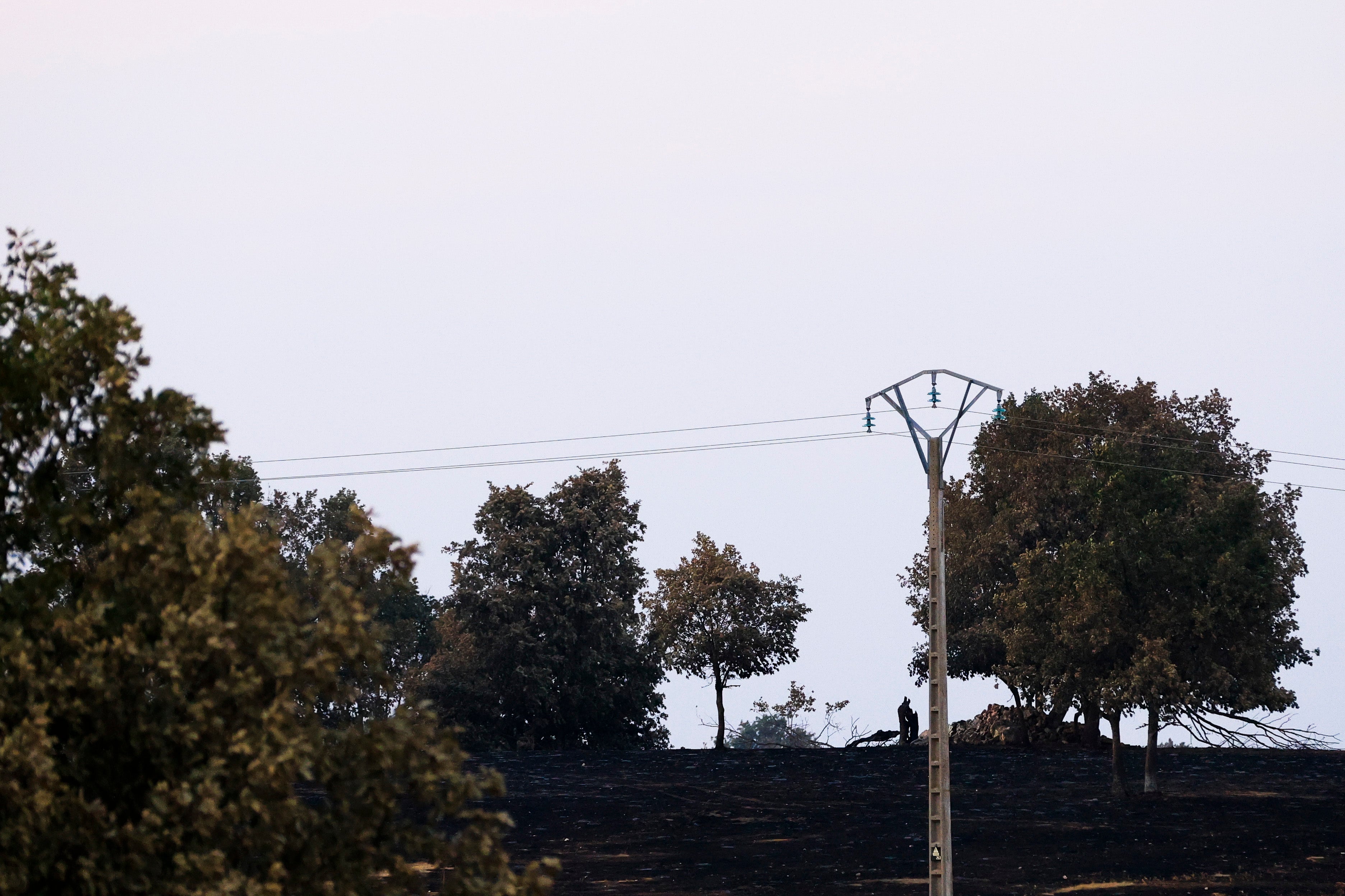 En imágenes, el rastro negro del mayor incendio de la provincia de Salamanca
