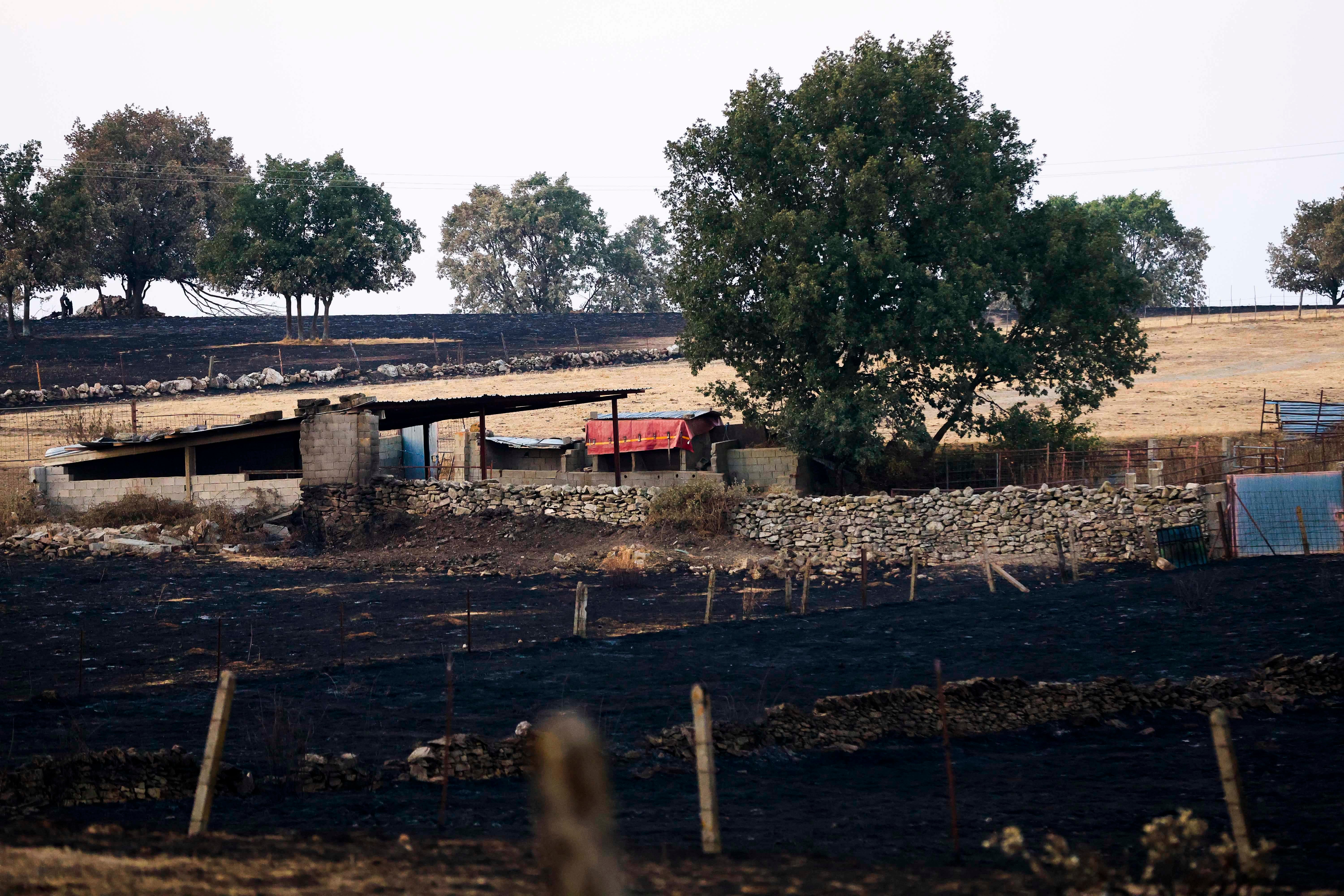 En imágenes, el rastro negro del mayor incendio de la provincia de Salamanca
