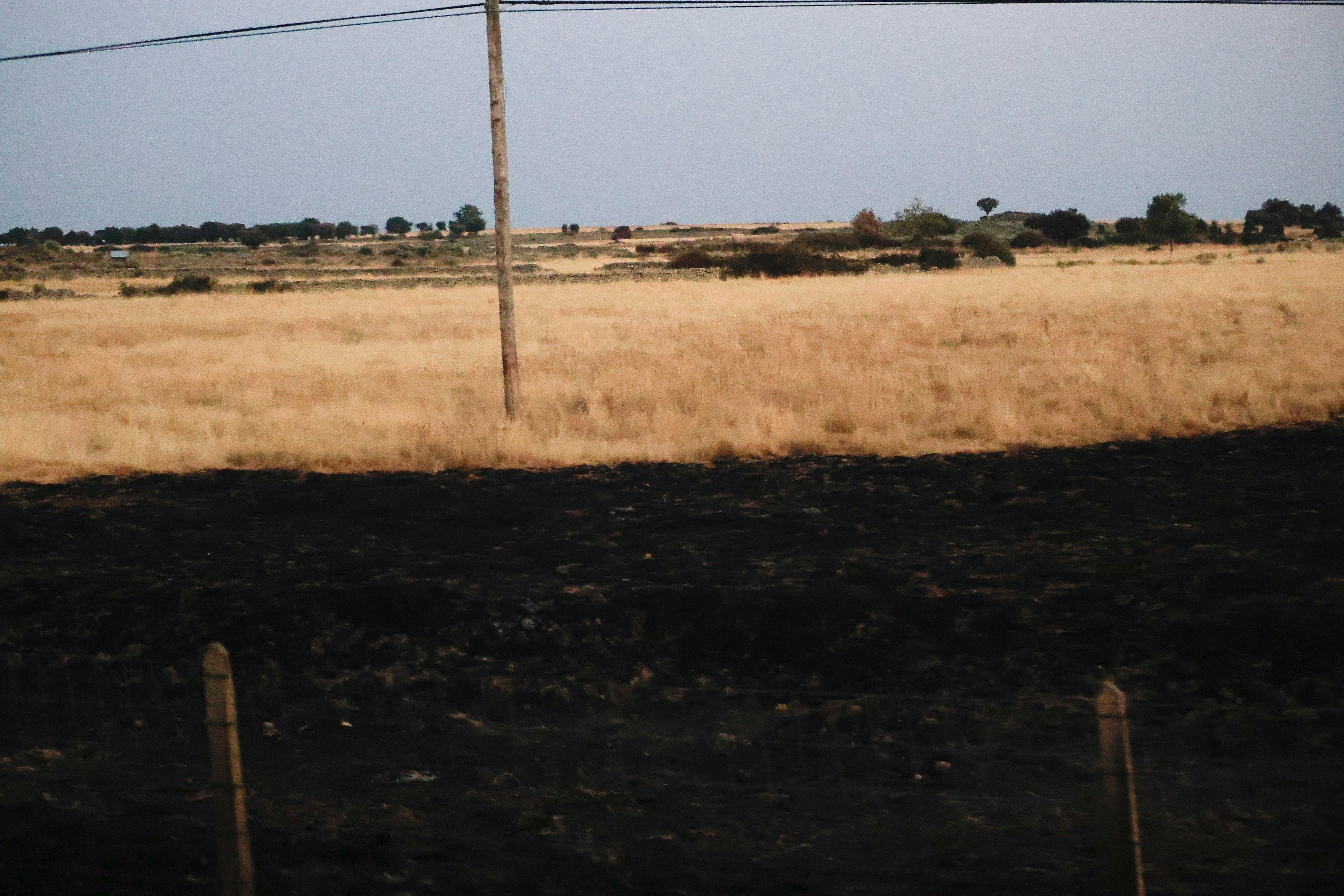 En imágenes, el rastro negro del mayor incendio de la provincia de Salamanca