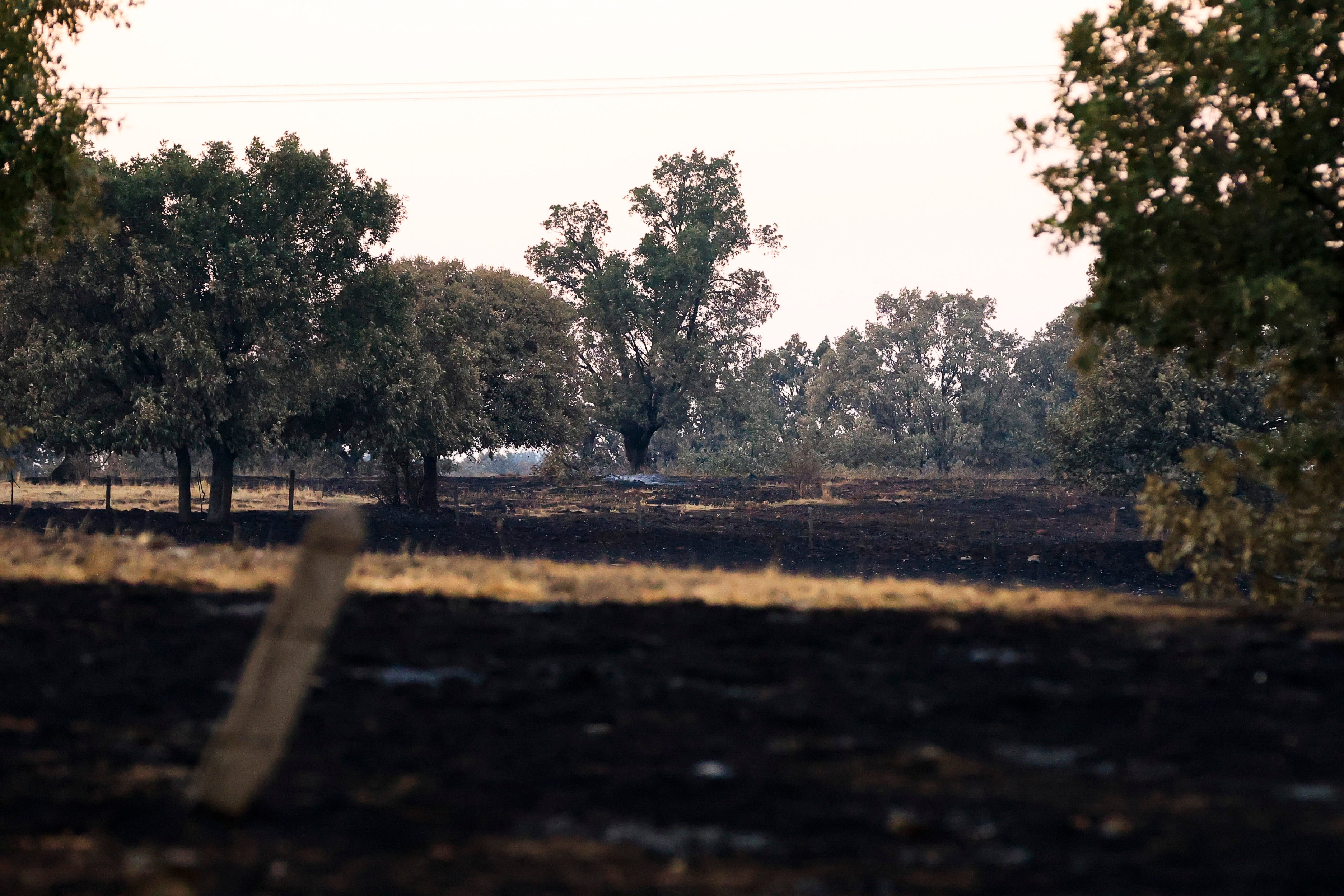 En imágenes, el rastro negro del mayor incendio de la provincia de Salamanca
