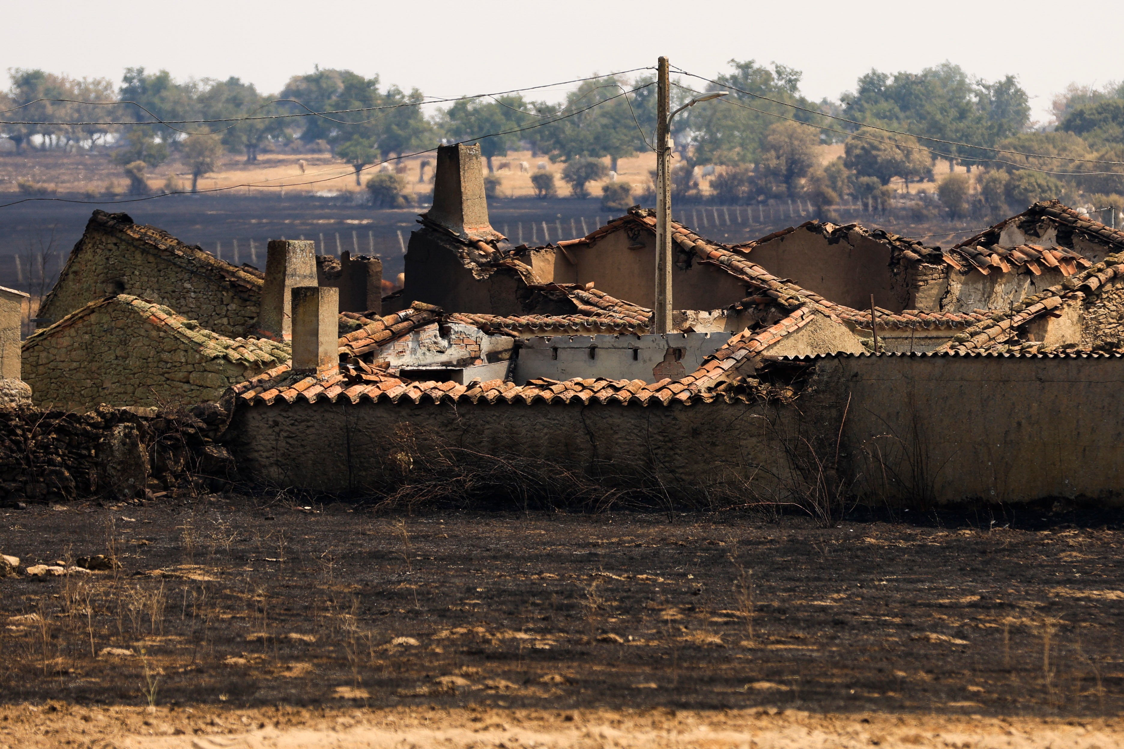 En imágenes, el rastro negro del mayor incendio de la provincia de Salamanca