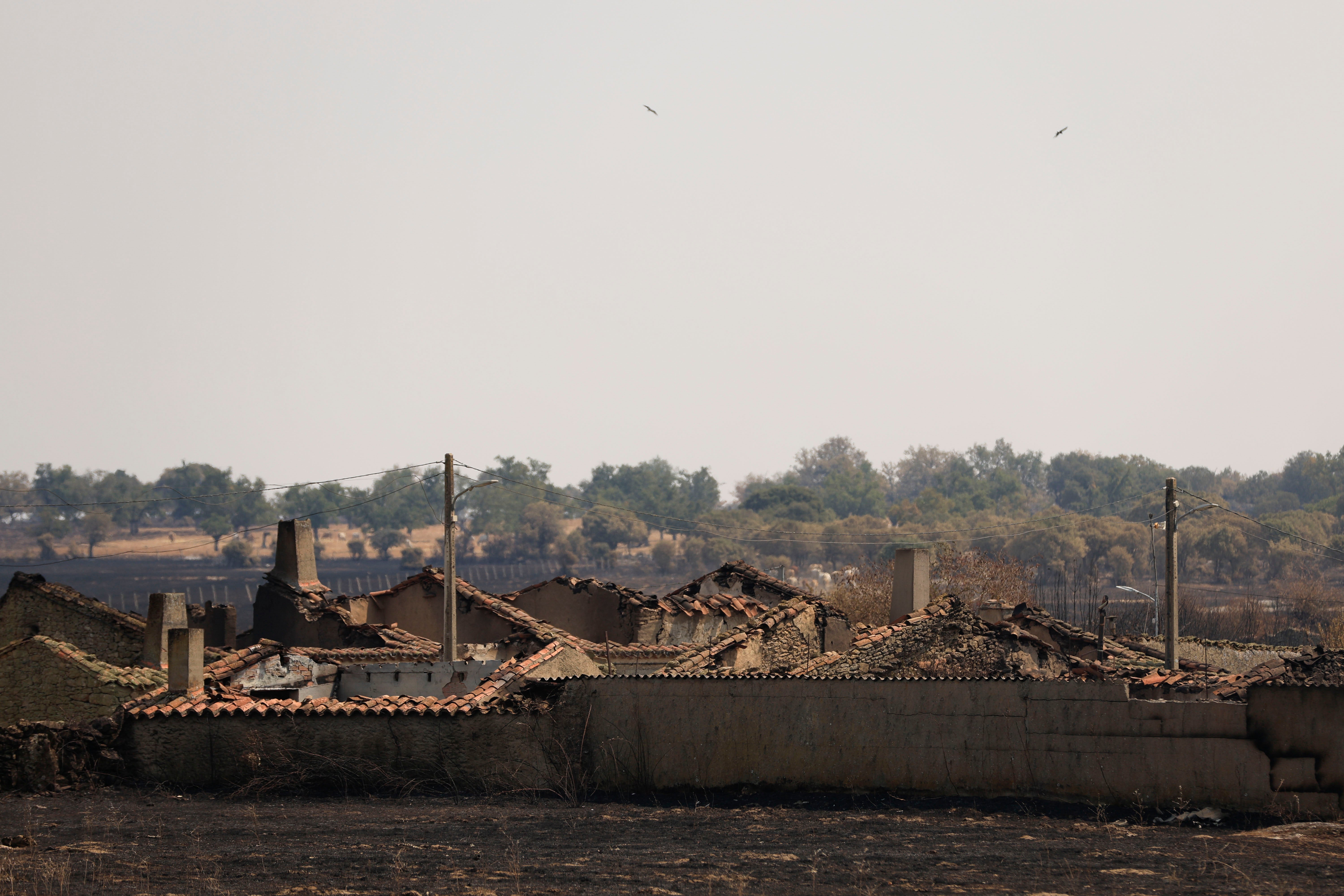 En imágenes, el rastro negro del mayor incendio de la provincia de Salamanca