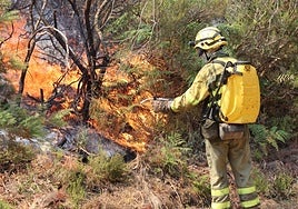 Operativo forestal contra los incendios, trabajando en el de La Alberca.