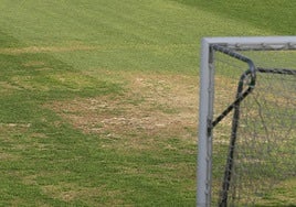 Así está el césped del Reina Sofía a cinco días para el comienzo de temporada