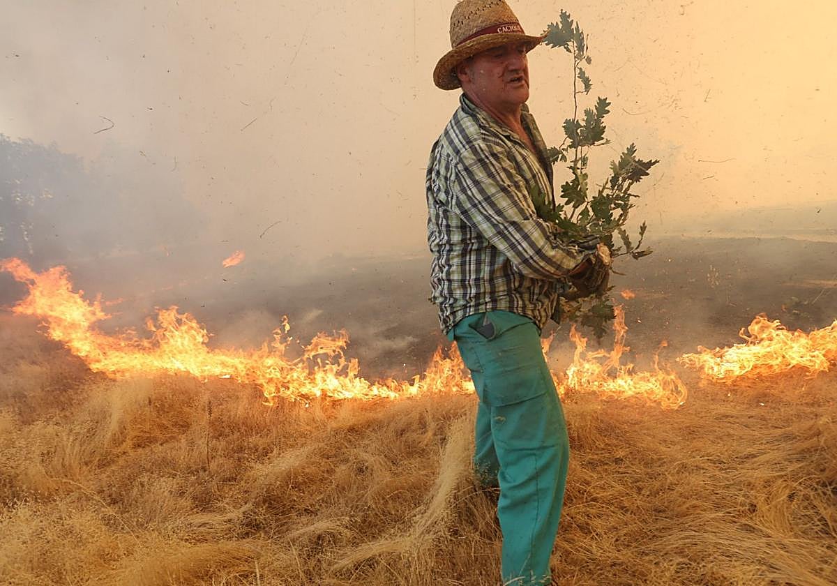 Trabajador del campo trata de apagar el fuego con unas ramas