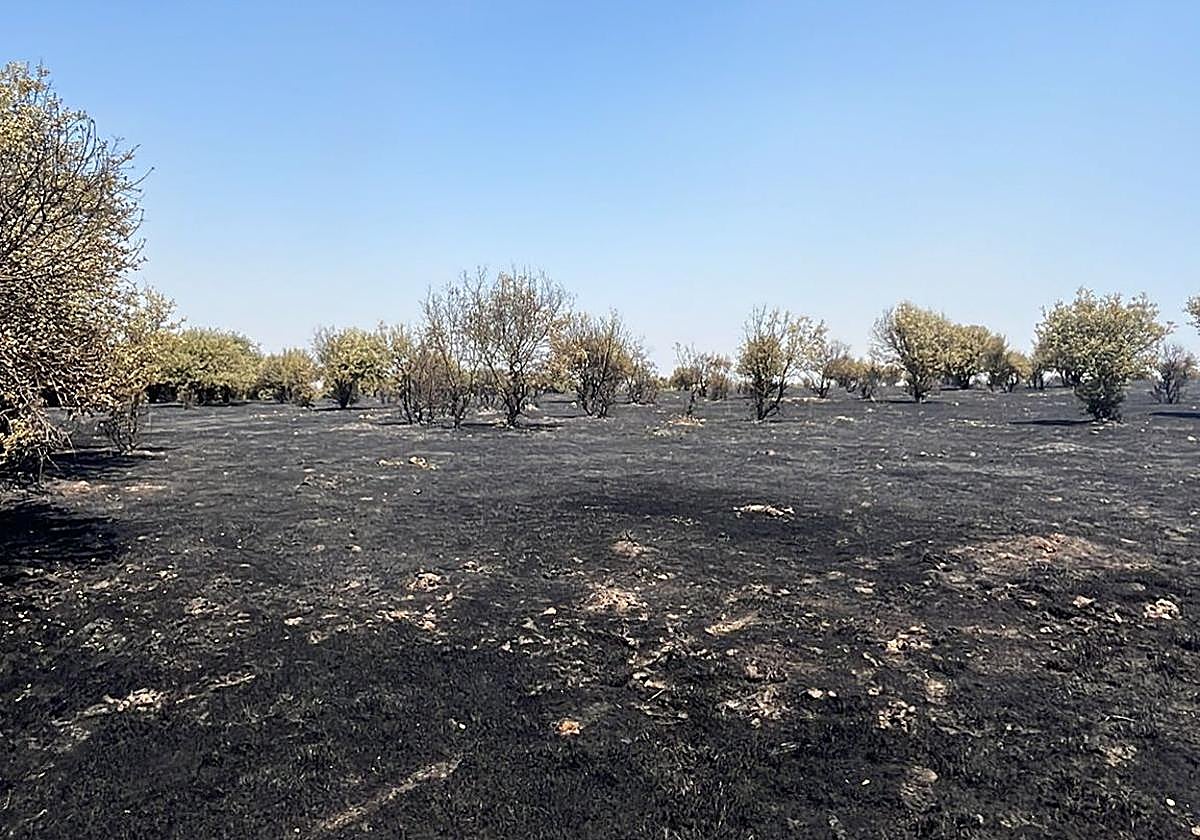 Incendio en un municipio de Salamanca
