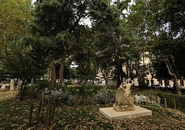 Ep parque de La Alamedilla, con uno de los índices de polen más altos del país según el PSOE:
