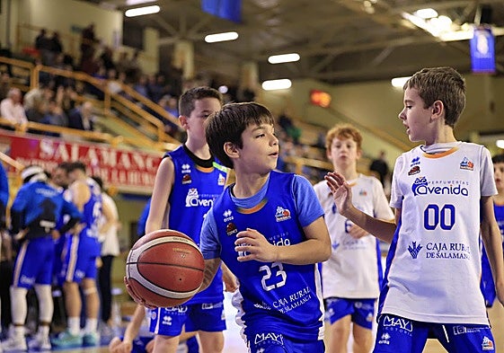 Cantera de Perfumerías Avenida