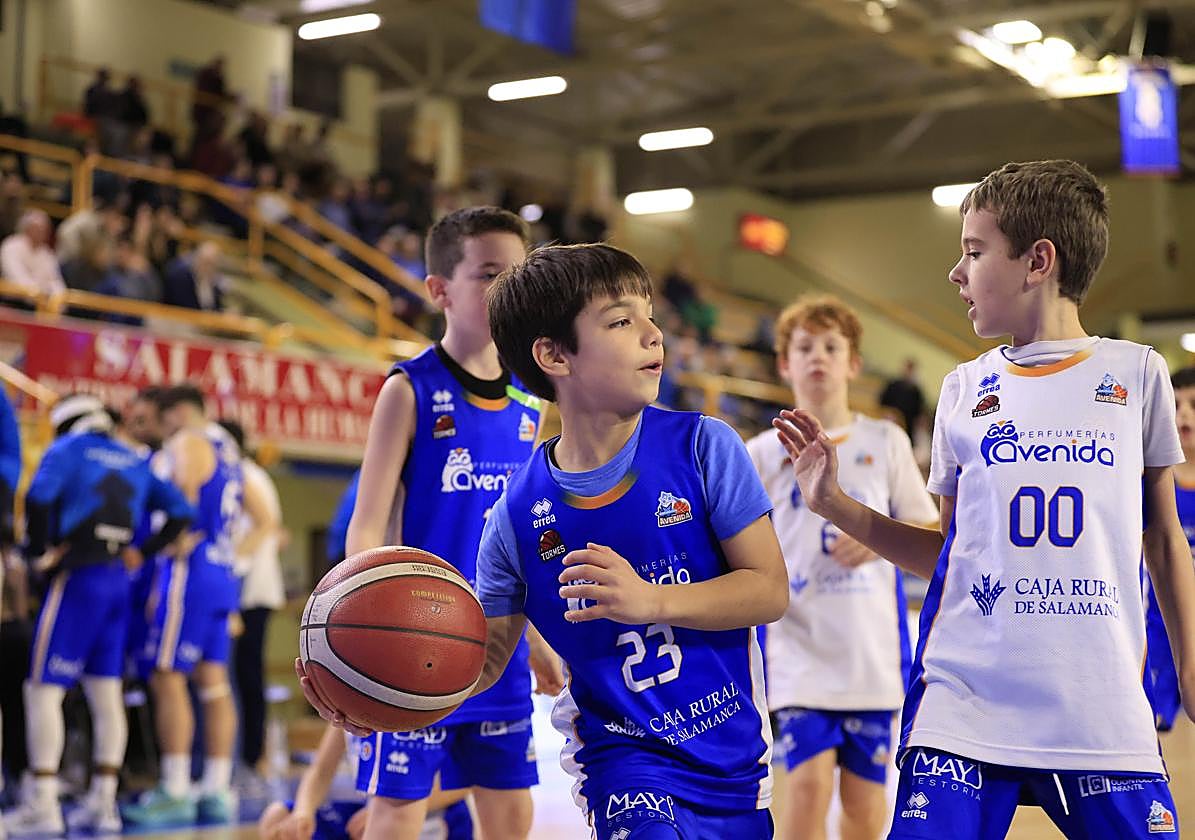 Cantera de Perfumerías Avenida