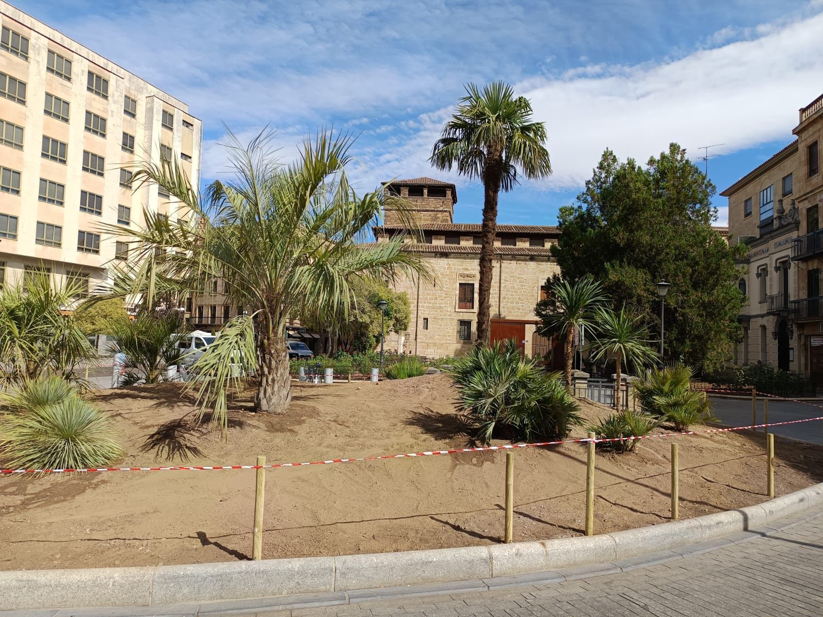 Las palmeras plantadas son de varios portes y son una docena entre ejemplares sueltos y grupos.