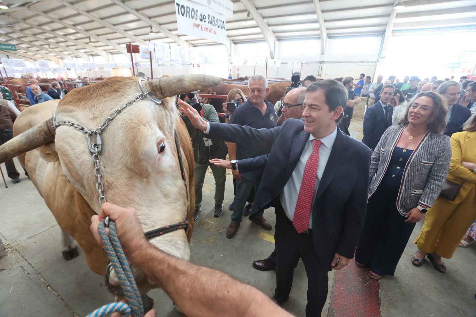 Así ha sido el comienzo de Salamaq, la tradicional cita de Salamanca con el campo