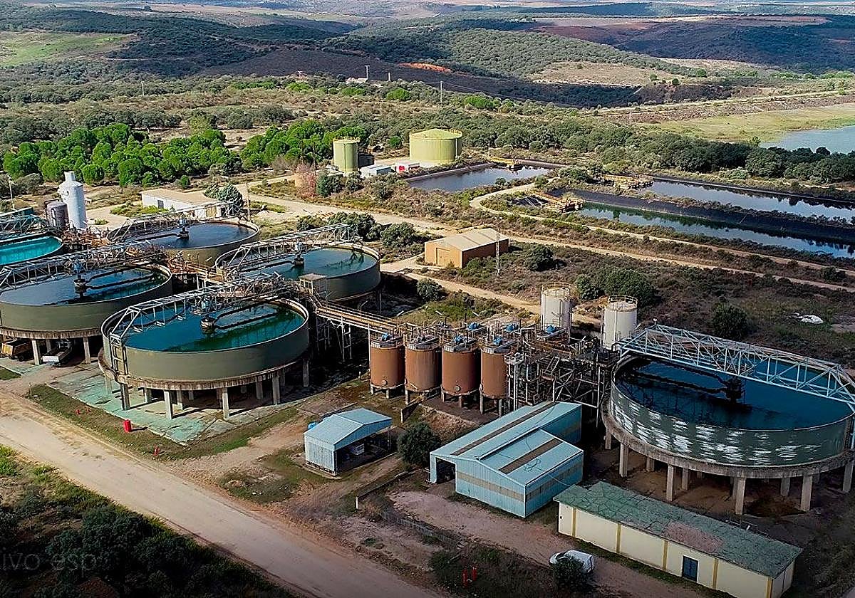 Instalaciones y planta Quercus en Saelices el Chico.
