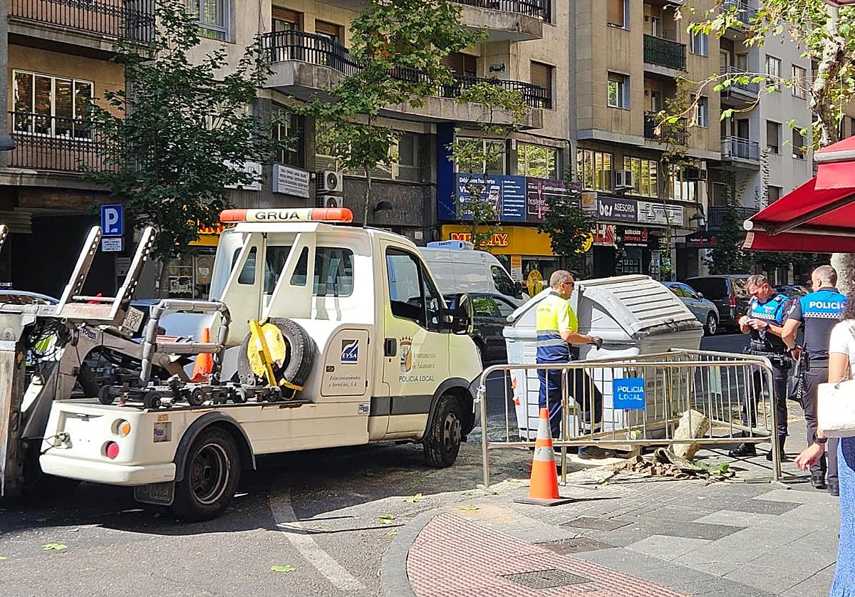 La Policía Local valla el árbol caído en el paseo del Doctor Torres Villarroel.