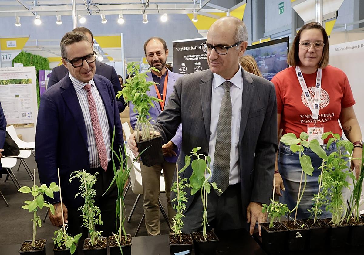 El presidente de la Diputación de Salamanca, Javier Iglesias, y el rector de la Universidad de Salamanca, Juan Manuel Corchado, informan sobre una nueva línea de colaboración entre ambas instituciones.