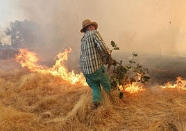 Un vecino intenta apagar el fuego del incendio de Cipérez.