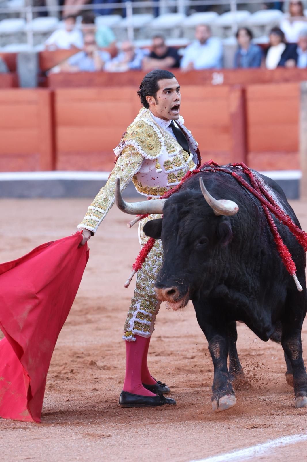 Tres orejas para Ismael Martín y traslado de Damián Castaño al hospital en la segunda de abono de Salamanca