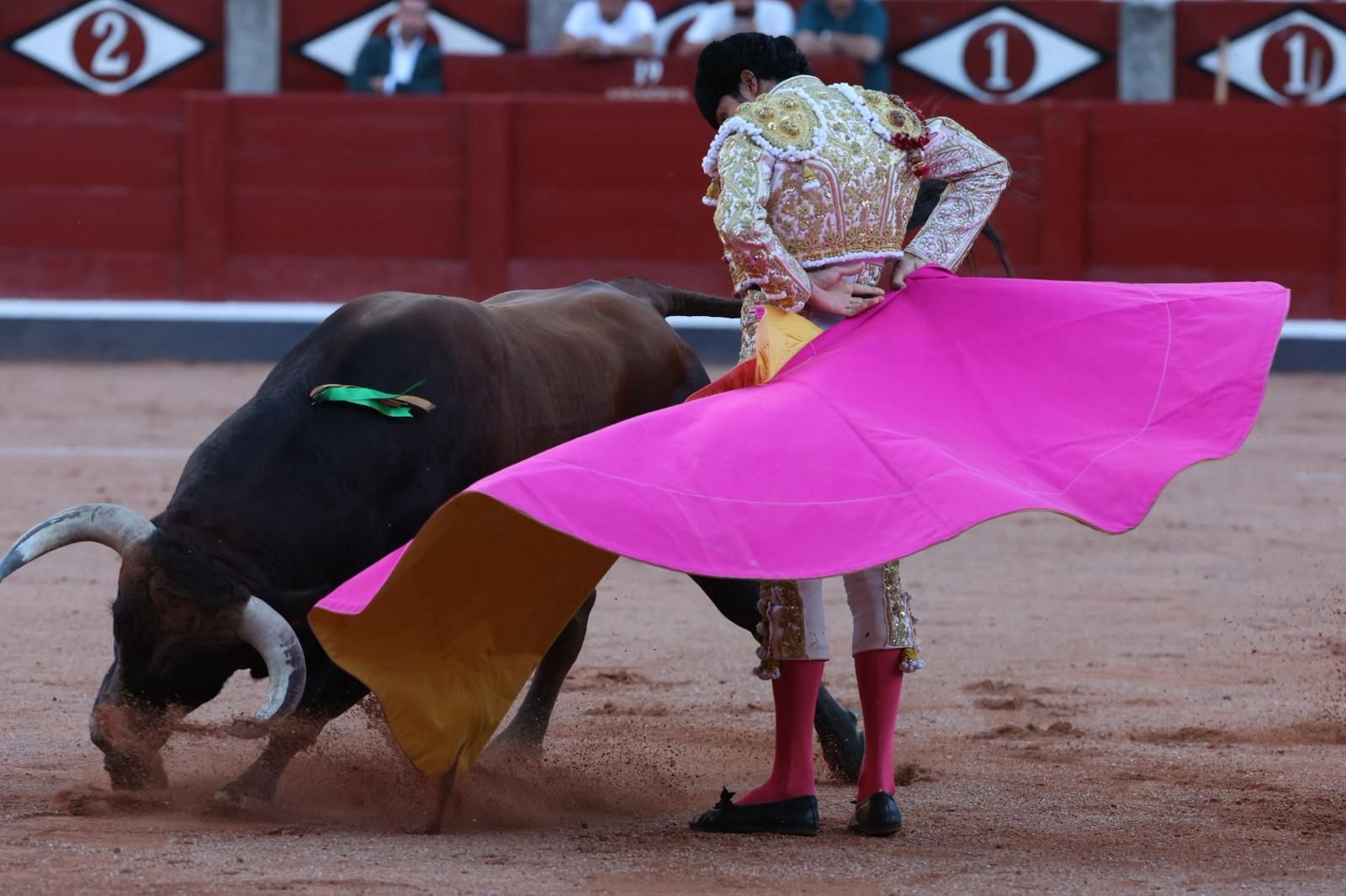 Tres orejas para Ismael Martín y traslado de Damián Castaño al hospital en la segunda de abono de Salamanca