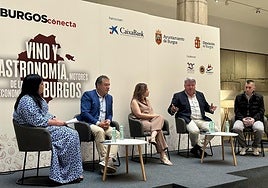 Susana Gutiérrez, morderadora, y Ramiro García, Almudena Alberca, Enrique Pascual y Diego González durante su intervención.
