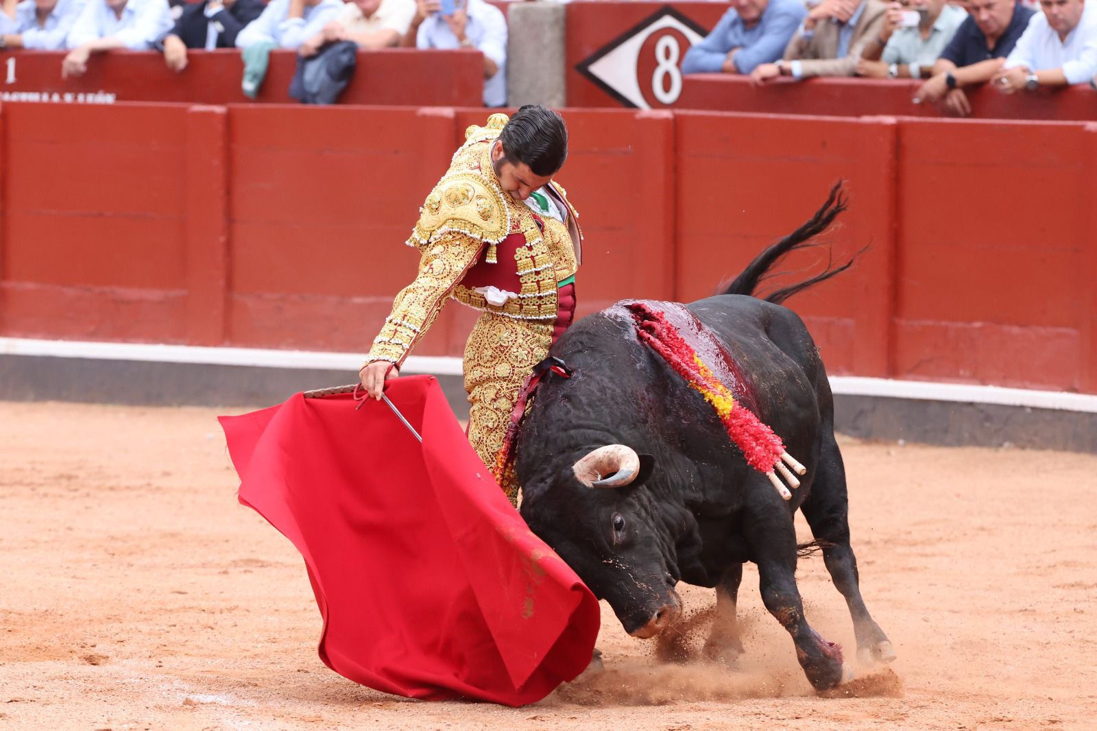 Los toreros salmantinos salen a hombros en un día gris de Morante