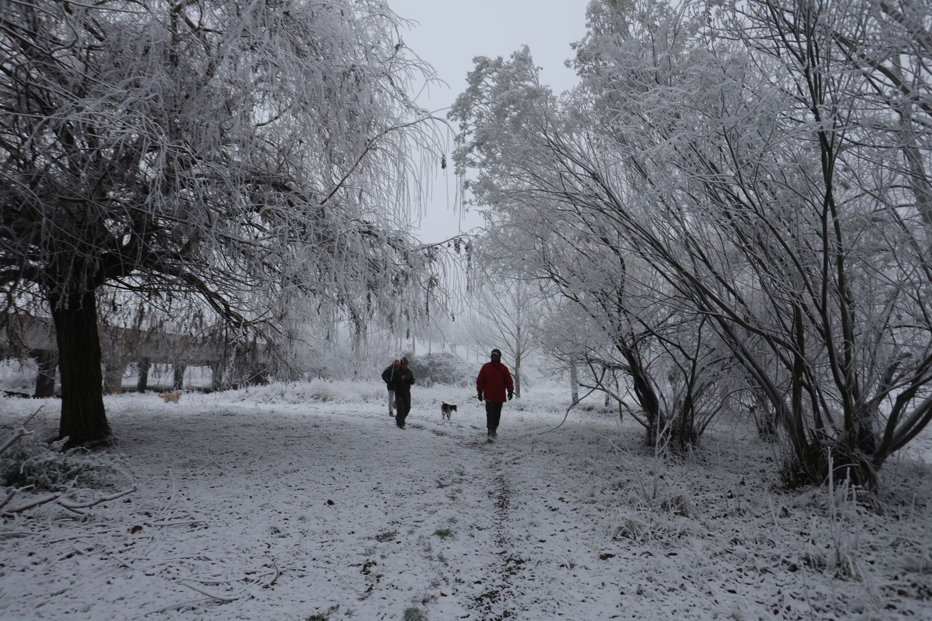 Llegan las temperaturas de invierno a la provincia.