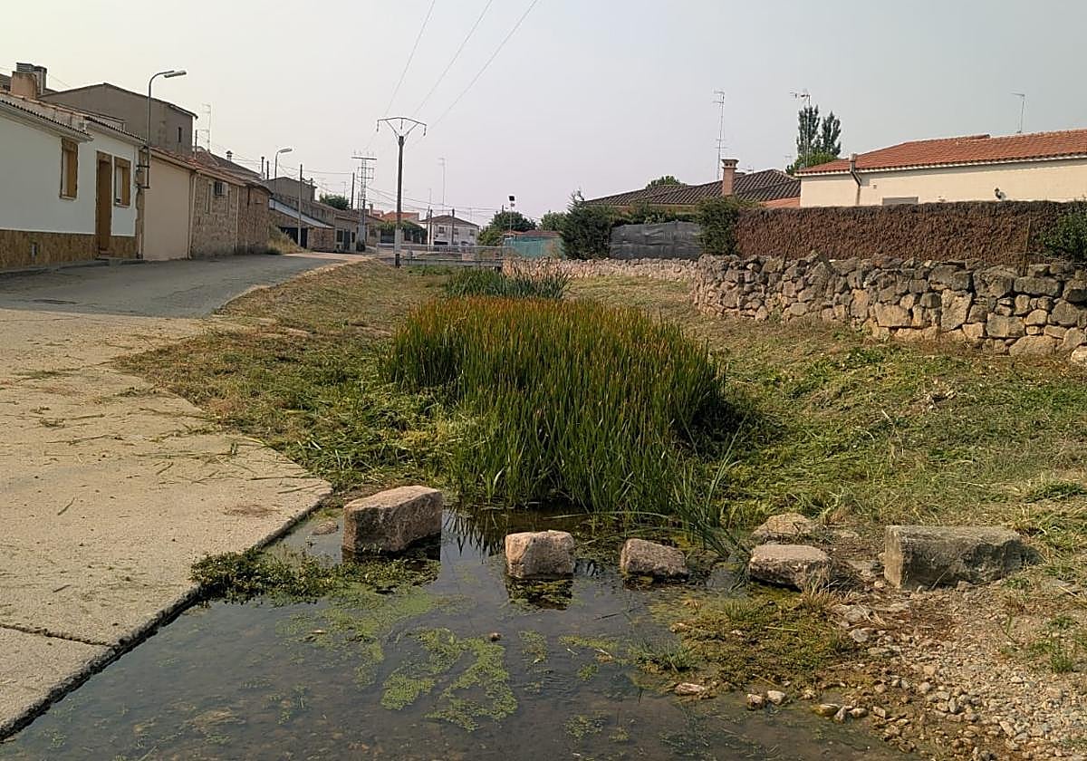 Arroyo en la localidad salmantina de Rollán.