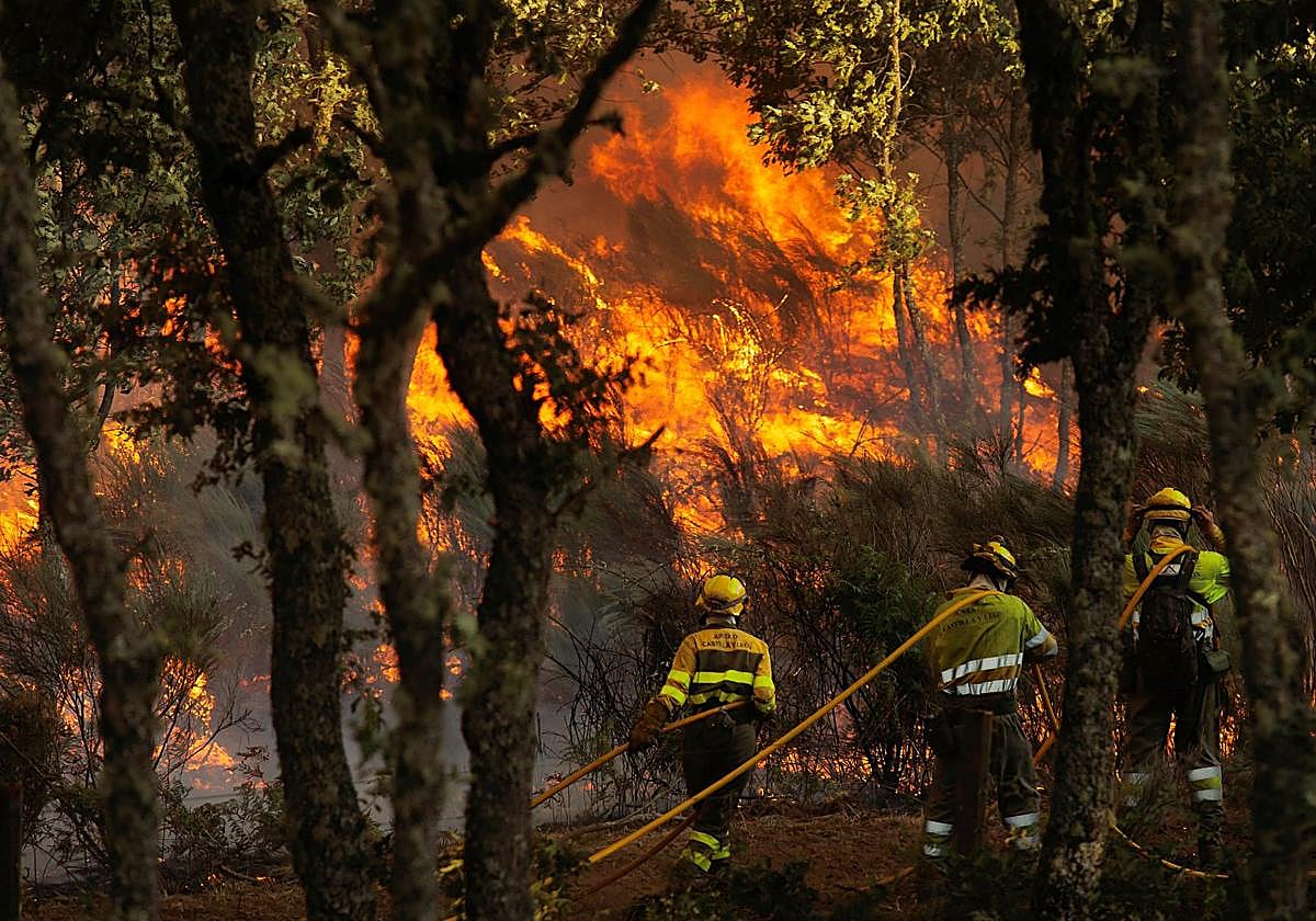 Los bomberos intentan apagar el incendio de El Payo en Salamanca del pasado 15 de agosto.
