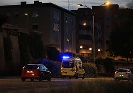 Imagen de archivo de una ambulancia por Salamanca.