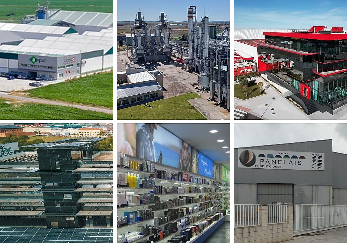 Las seis primeras empresas de Salamanca en facturación.