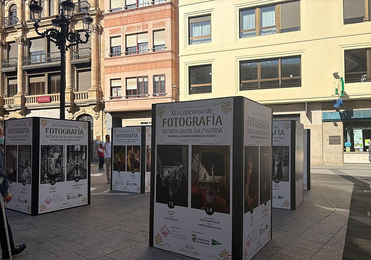 Parte de la exposición con las fotografías que optan a ser el Cartel de la Semana Santa 2026.