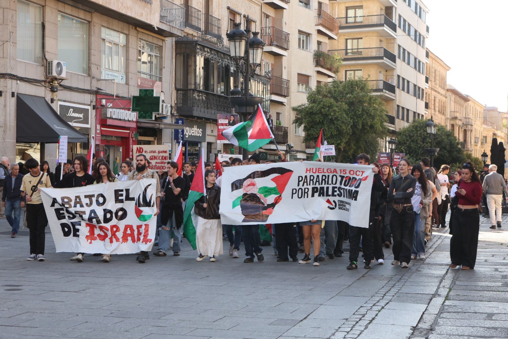 La Huelga General en apoyo a Palestina se hace escuchar en Salamanca y corta la Gran Vía