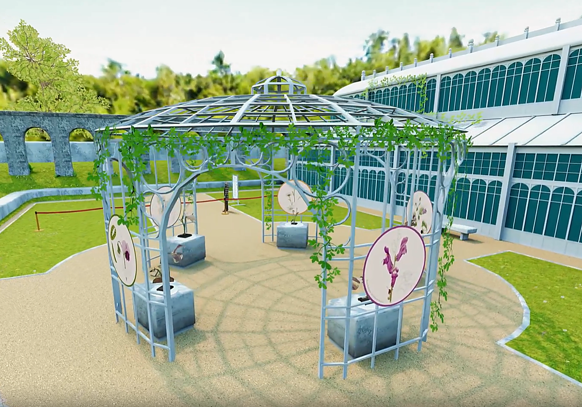 Visualización de uno de los modelos botánicos