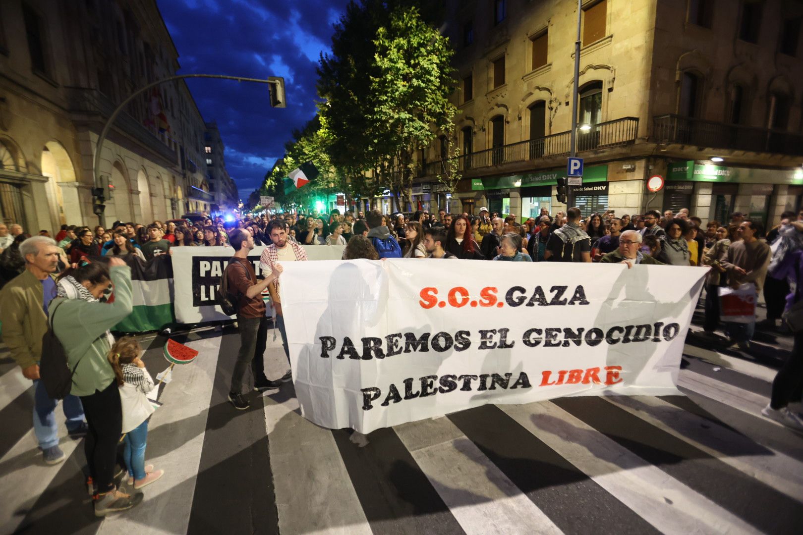 Salamanca vuelve a salir a la calle por una Palestina libre