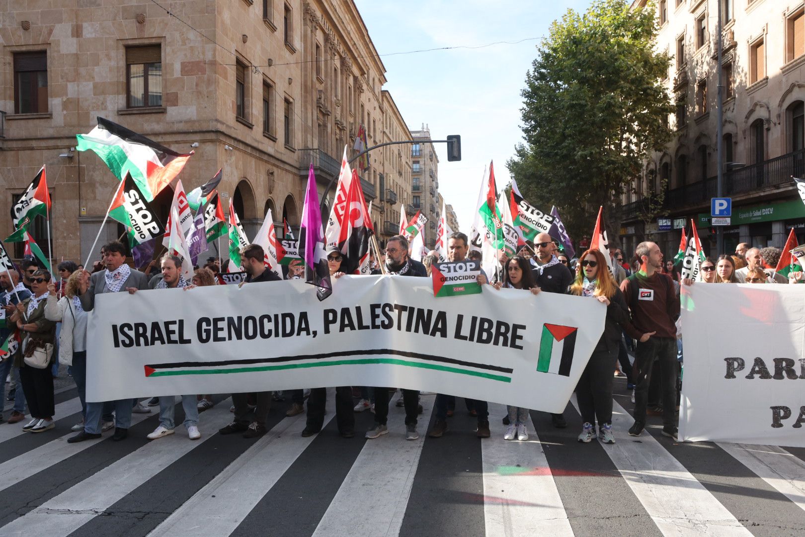 La Huelga General en apoyo a Palestina se hace escuchar en Salamanca y corta la Gran Vía